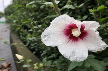 介護の現場で教わった事